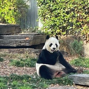 Meet your Posher, Vicki